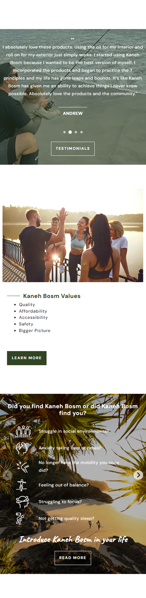 Kaneh Bosm mobile view of the website