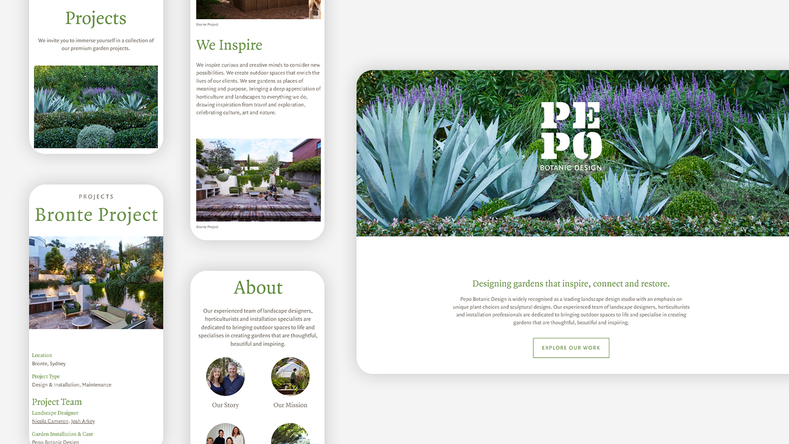 Pepo website overview