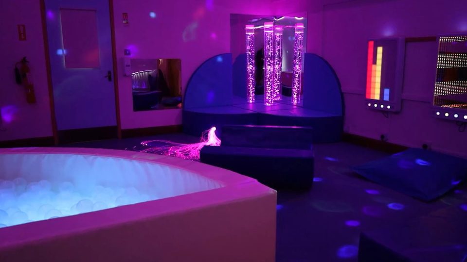 Causeway Sensory custom website intro